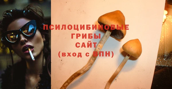 герыч Бородино
