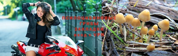 герыч Бородино