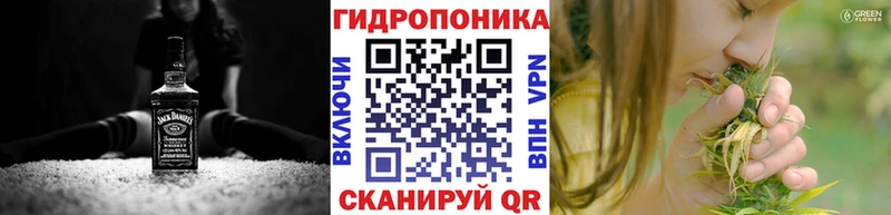 купить закладку Ильский Бошки Шишки OG Kush
